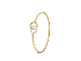 slavenarmband-dubbele-ring-bicolor