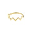 ring-88-kroon-geelgoud