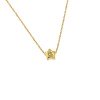 collier-ster-18-karaat