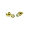 oorstekers-diamant-bloem