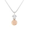collier-bengelende-cirkel-bicolor