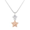 collier-bengelende-ster-bicolor