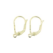 Oorbrichures met open oog 14 kt geelgoud