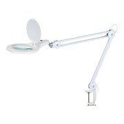 Lamp Drijfhout met LED verlichting en vergrootglas