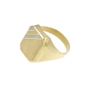 Zegelring achtkant groot bicolor