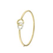Bangle dubbele ring bicolor
