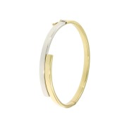 Bangle vlak breed bicolor
