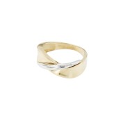 Ring 138 bicolor
