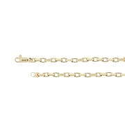 Armband geslepen anker massief 3,50 mm 19,50 cm geelgoud